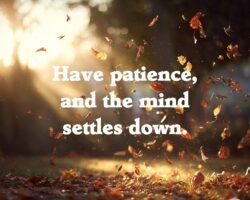 Have patience and the mind settles down